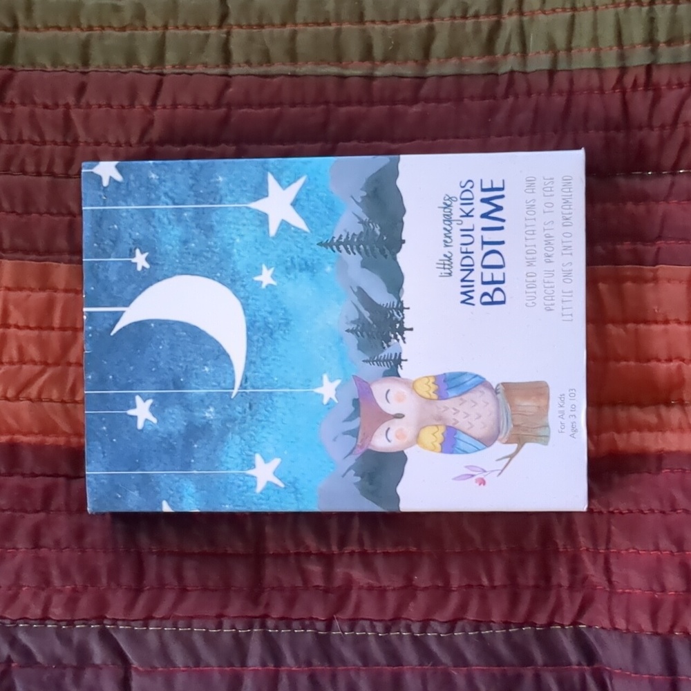 LITTLE RENEGADES* Mindful Kids Bedtime guided meditations and peaceful prompts